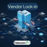 Vendor lock-in in telecom industry